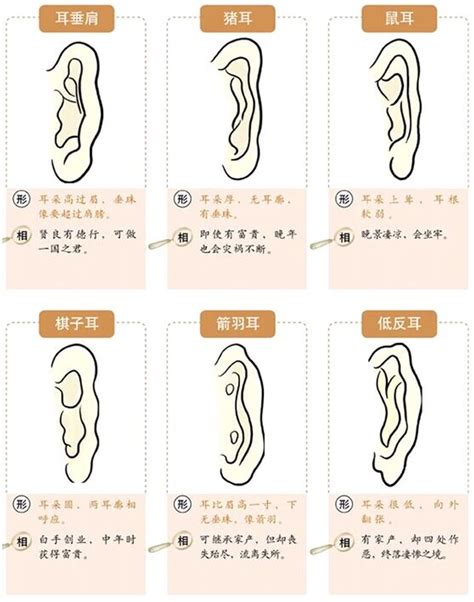 翻耳|面相耳朵图解【最详细版】 – 杨易德全集官网